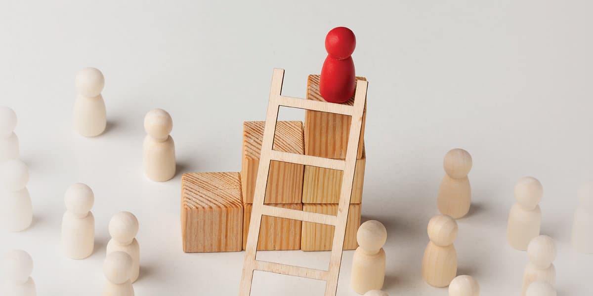 Public sector training and leadership